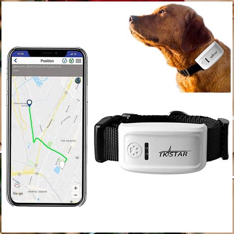 rfid pet tracking system|best dog tracker for dogs.